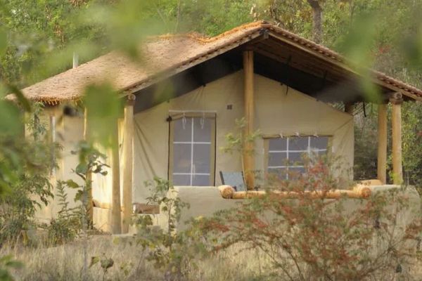 shergarh tent resort at kanha national park