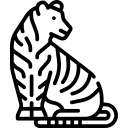 tiger icon